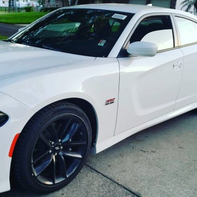 White 392.jpg